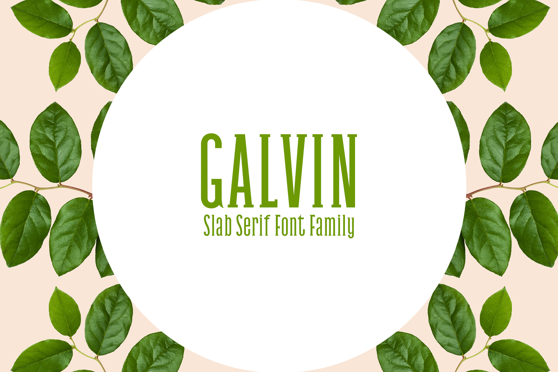 Galvin Family Pack Font