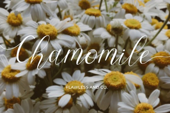 Chamomile