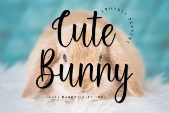 Cute Bunny