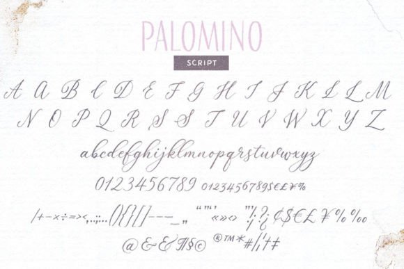 Palomino Poster 12