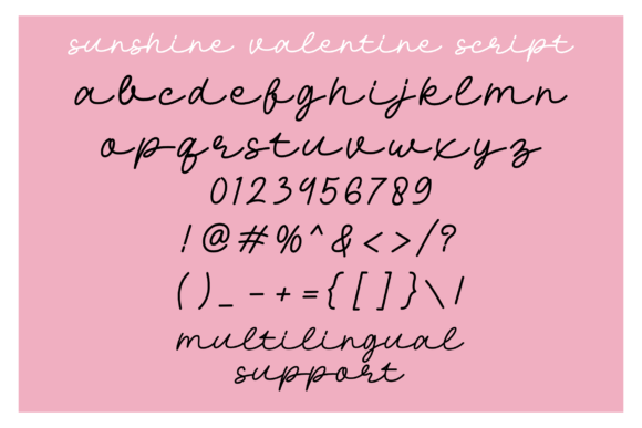 Sunshine Valentine Poster 3