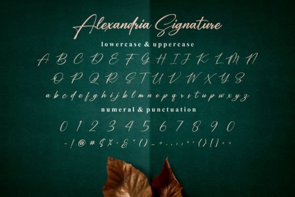 Alexandria Signature Font Poster 7