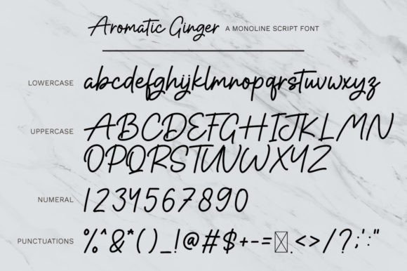 Aromatic Ginger Font Poster 7