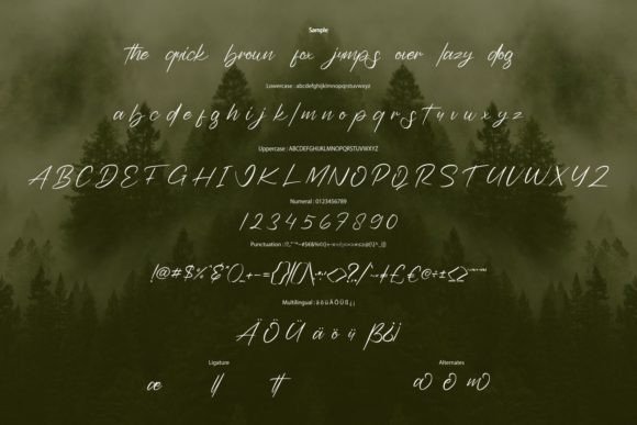 Badoga Signature Font Poster 6