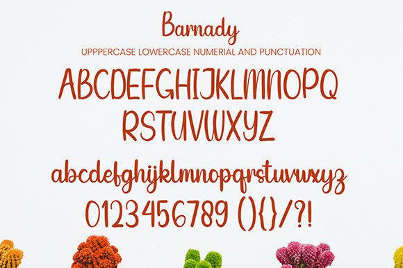 Barnady Font Poster 8