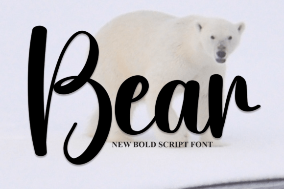 Bear Font