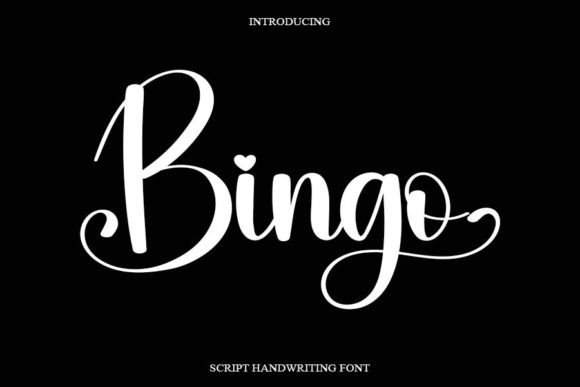 Bingo Font Poster 1