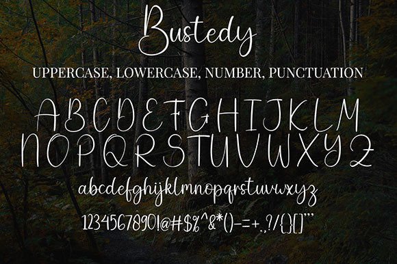 Bustedy Font Poster 7