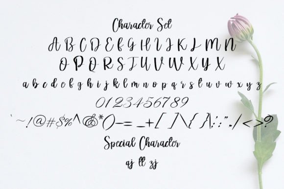 Butterfly Font Poster 3