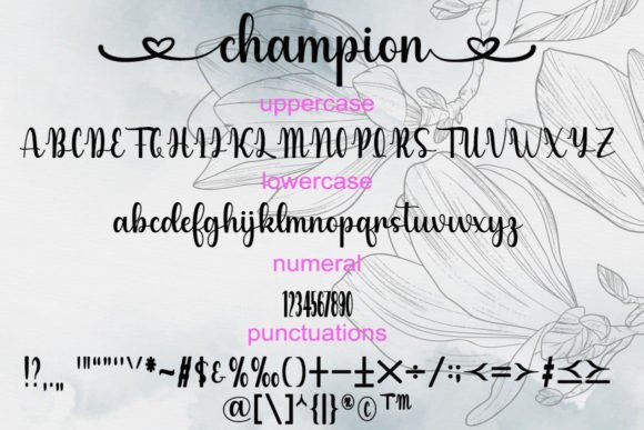Champion Font Poster 6