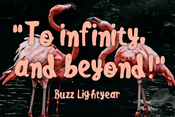 Cute Flamingo Font Poster 2