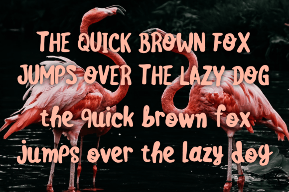 Cute Flamingo Font Poster 4