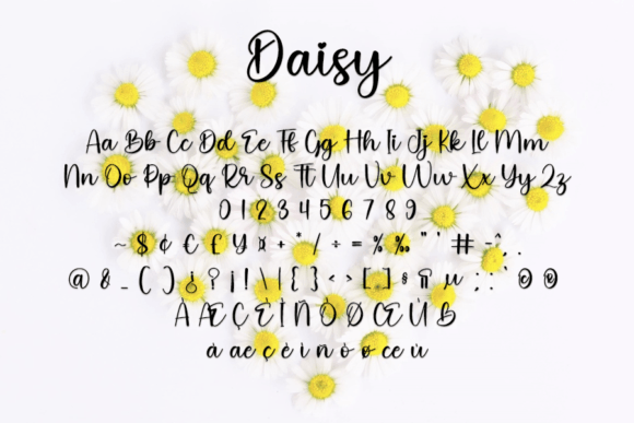 Daisy Font Poster 5