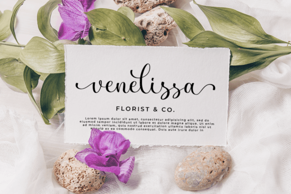 Dignetta Font Poster 5