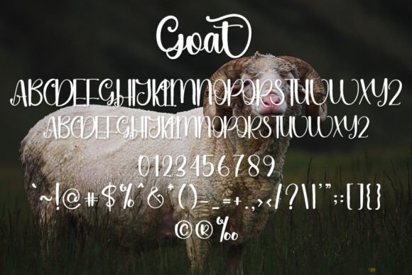 Goat Font Poster 4