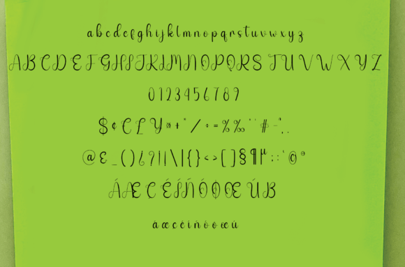 Handsome Font Poster 6