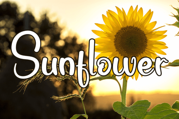 Hello Sunshine Font Poster 2