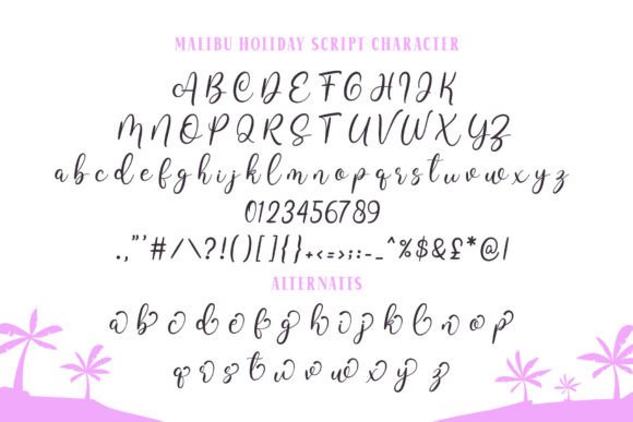 Malibu Holiday Duo Font Poster 9