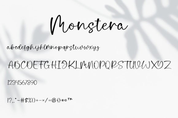 Monstera Font Poster 7