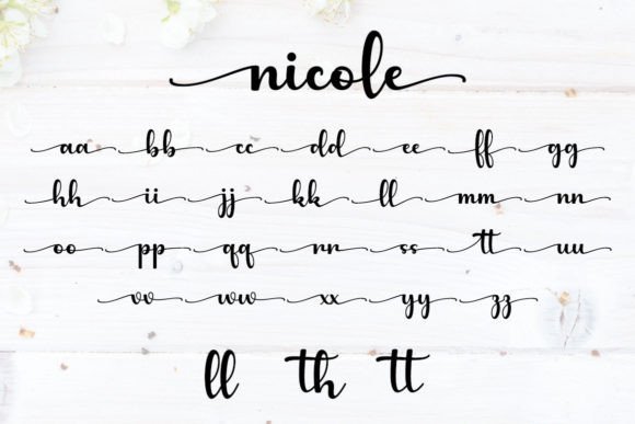 Nicole Font Poster 7