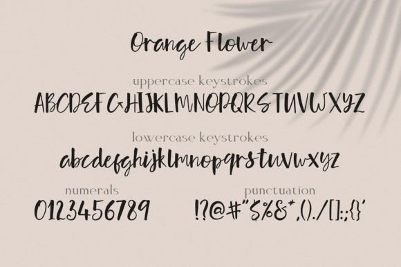 Orange Flower Font Poster 5