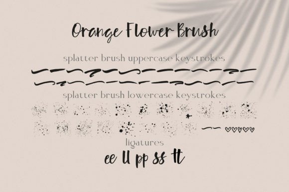 Orange Flower Font Poster 6