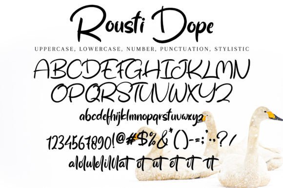 Rousti Dope Font Poster 9