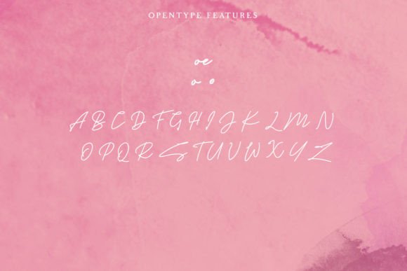 Sefiola Font Poster 10