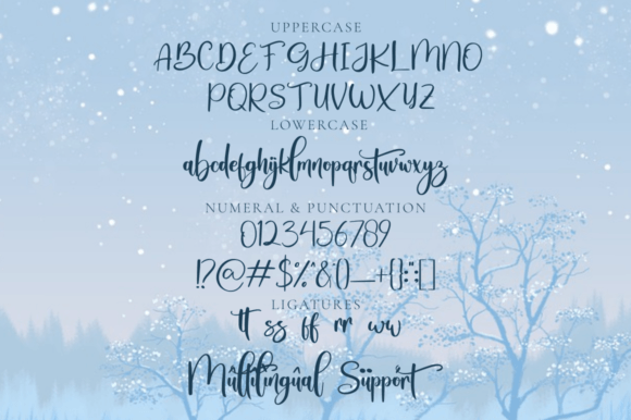 Snowtimes Font Poster 7