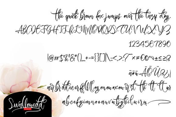 Swallowedd Font Poster 5