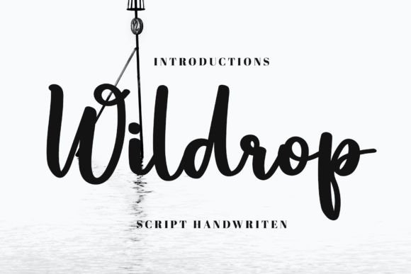 Wildrop Font Poster 1