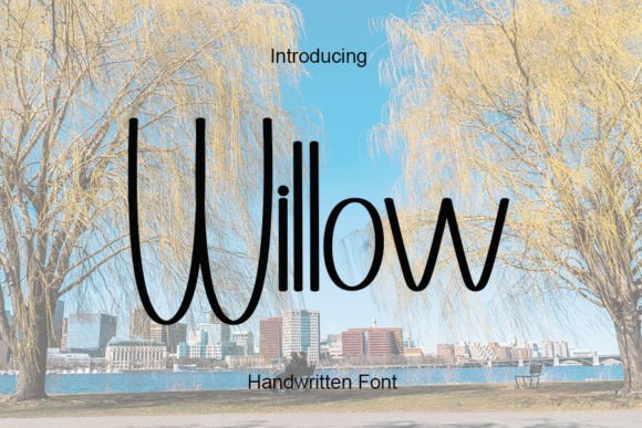 Willow Font Poster 1