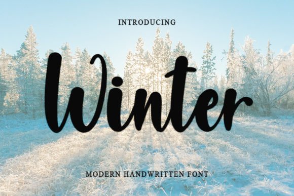 Winter Font Poster 1