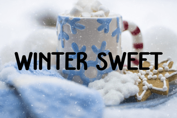 Winter Biscuit Font Poster 4