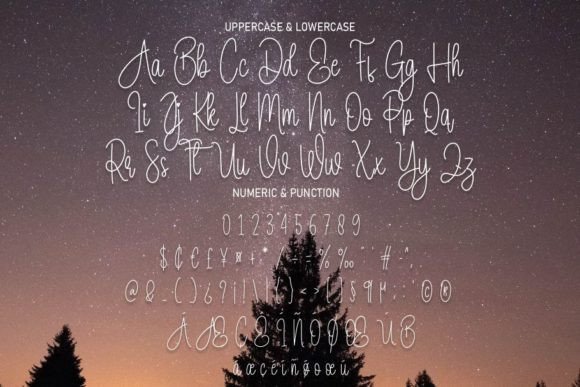 Winter Night Font Poster 7