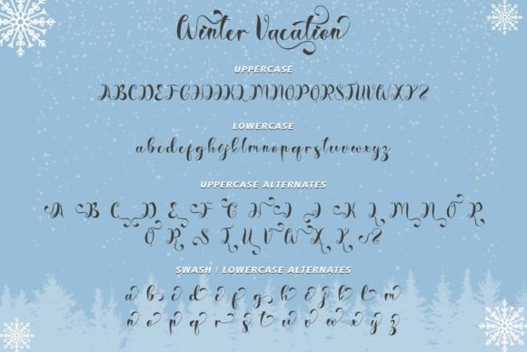Winter Vacation Font Poster 6