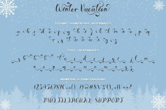 Winter Vacation Font Poster 7