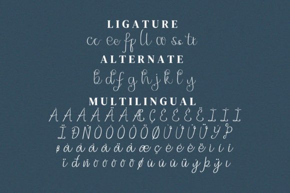 Wonderffull Font Poster 13