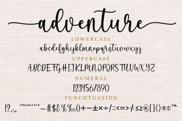 Adventure Font Poster 5