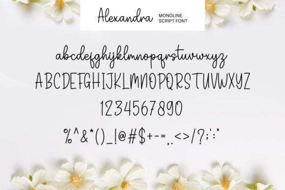 Alexandra Font Poster 6