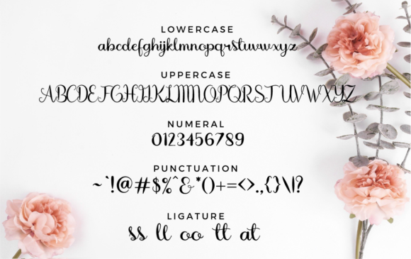 Allyra Font Poster 5