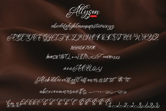 Allyson Font Poster 5