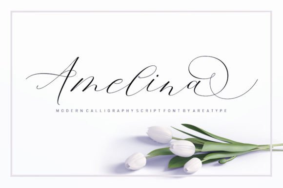 Amelina Duo Font Poster 7