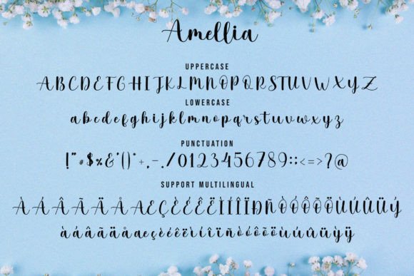 Amilla Font Poster 9