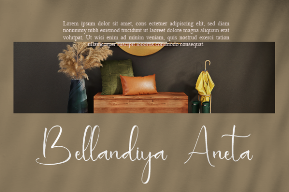 Anastasia Nathalie Font Poster 10