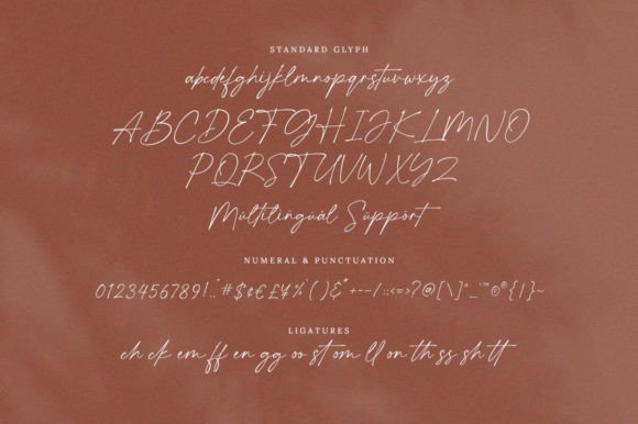 Antarika Font Poster 7