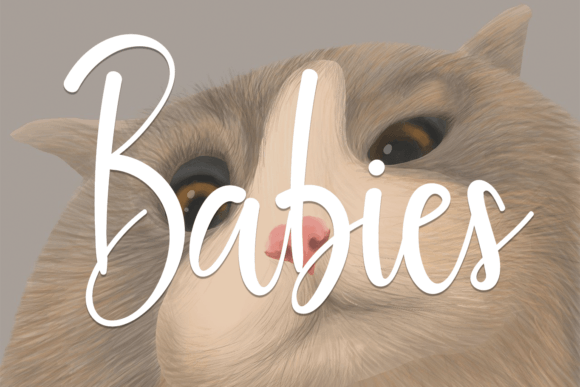 Babies Font Poster 1