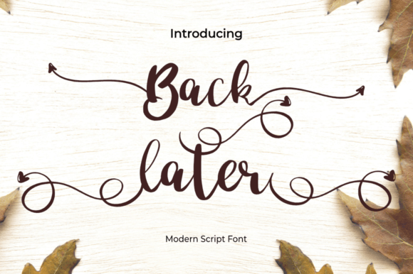 Back Later Font Poster 2