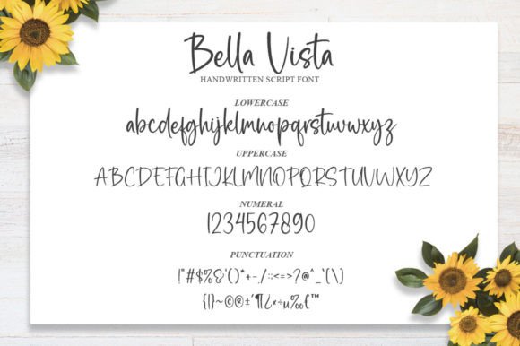 Bella Vista Font Poster 6