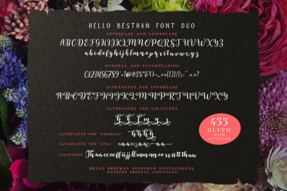 Besthan Font Poster 5